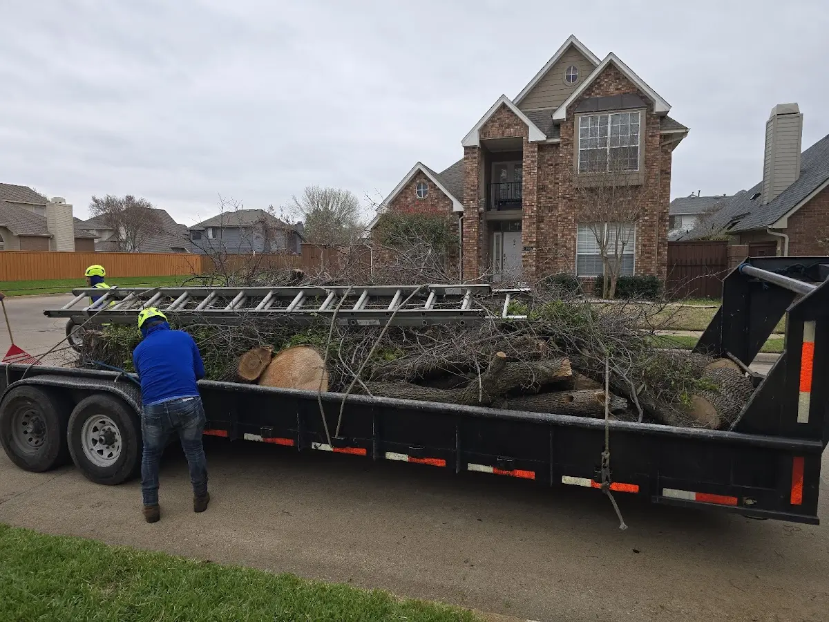 Expert Tree Fertilization with proper safety equipment in Gwinn